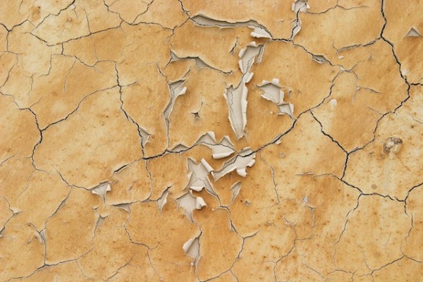 Dry skin can resemble mud as it dries out and cracks.