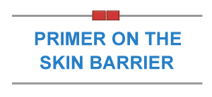 Primer On the Skin Barrier Free Special Report by professors of dermatology and skin scientists, Peter M. Elias, M.D. and Mary L. Williams, M.D.